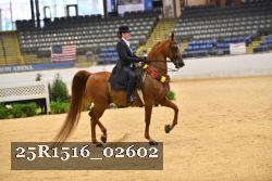25R1516_02602 thumbnail