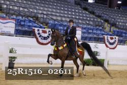 25R1516_02611 thumbnail
