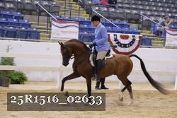 25R1516_02633 thumbnail
