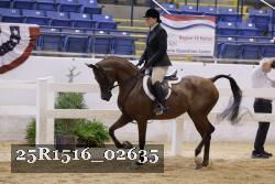 25R1516_02635 thumbnail