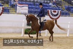25R1516_02637 thumbnail
