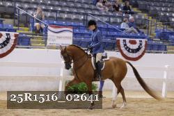 25R1516_02641 thumbnail