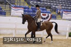 25R1516_02645 thumbnail
