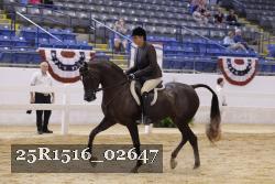 25R1516_02647 thumbnail