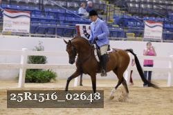 25R1516_02648 thumbnail