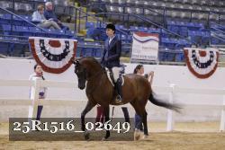 25R1516_02649 thumbnail