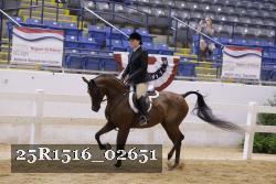 25R1516_02651 thumbnail