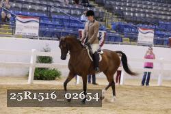 25R1516_02654 thumbnail