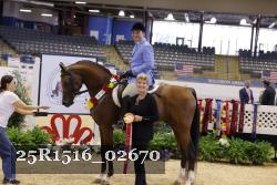 25R1516_02670 thumbnail