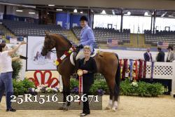25R1516_02671 thumbnail