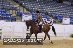 25R1516_02677 thumbnail