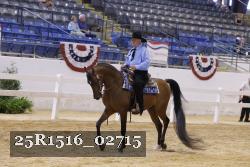 25R1516_02715 thumbnail