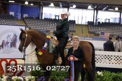 25R1516_02727 thumbnail