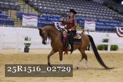 25R1516_02729 thumbnail