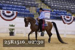 25R1516_02730 thumbnail