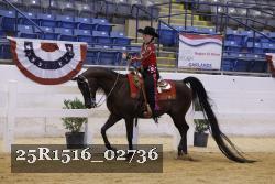 25R1516_02736 thumbnail