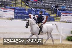 25R1516_02837 thumbnail