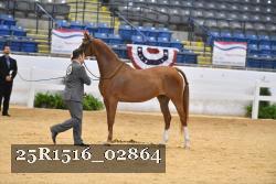 25R1516_02864 thumbnail