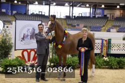 25R1516_02866 thumbnail