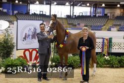 25R1516_02867 thumbnail