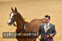 25R1516_02870 thumbnail