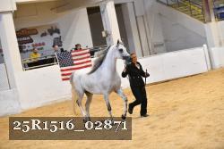 25R1516_02871 thumbnail