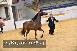 25R1516_02874 thumbnail