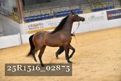 25R1516_02875 thumbnail