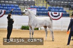 25R1516_02876 thumbnail