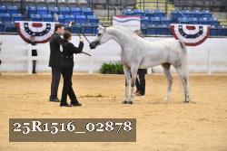 25R1516_02878 thumbnail