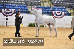 25R1516_02879 thumbnail