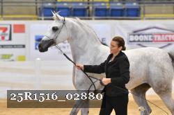 25R1516_02880 thumbnail