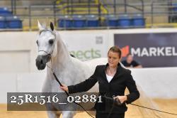 25R1516_02881 thumbnail
