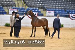 25R1516_02882 thumbnail