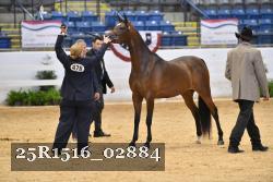 25R1516_02884 thumbnail