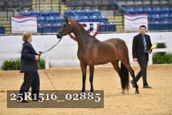 25R1516_02885 thumbnail