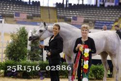 25R1516_02886 thumbnail