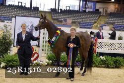25R1516_02892 thumbnail