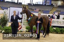 25R1516_02893 thumbnail