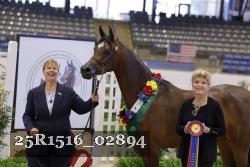 25R1516_02894 thumbnail