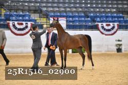 25R1516_02900 thumbnail