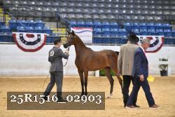 25R1516_02903 thumbnail