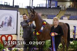 25R1516_02907 thumbnail