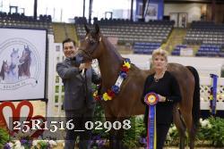 25R1516_02908 thumbnail