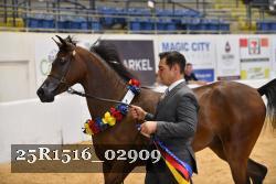 25R1516_02909 thumbnail