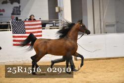 25R1516_02910 thumbnail
