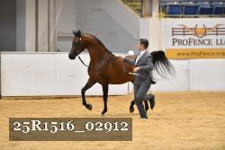25R1516_02912 thumbnail