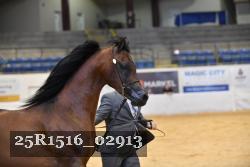 25R1516_02913 thumbnail