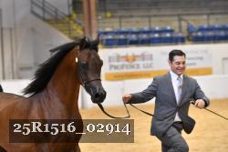 25R1516_02914 thumbnail