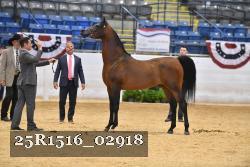 25R1516_02918 thumbnail